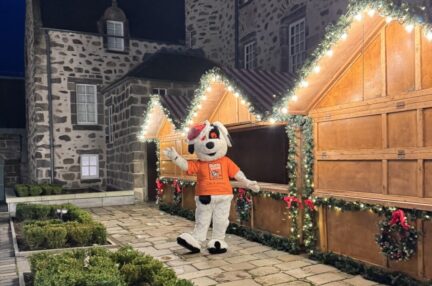 Aberdeen creatives and traders invited to make Christmas magical with a place at the Curated In The Square festive market