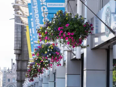 Flower baskets 6