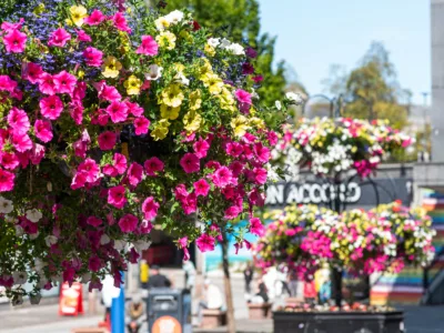 Flower baskets 10