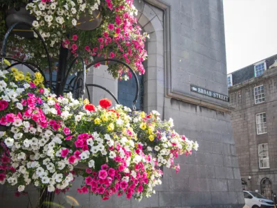 Flower baskets 14