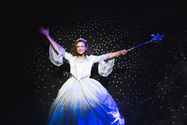 29 11 25 APA Panto 2026 shortlist 10