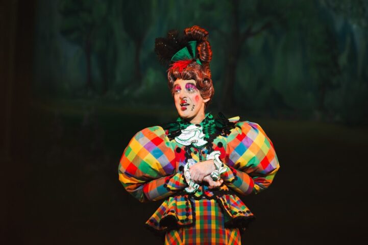 29 11 25 APA Panto 2026 shortlist 4