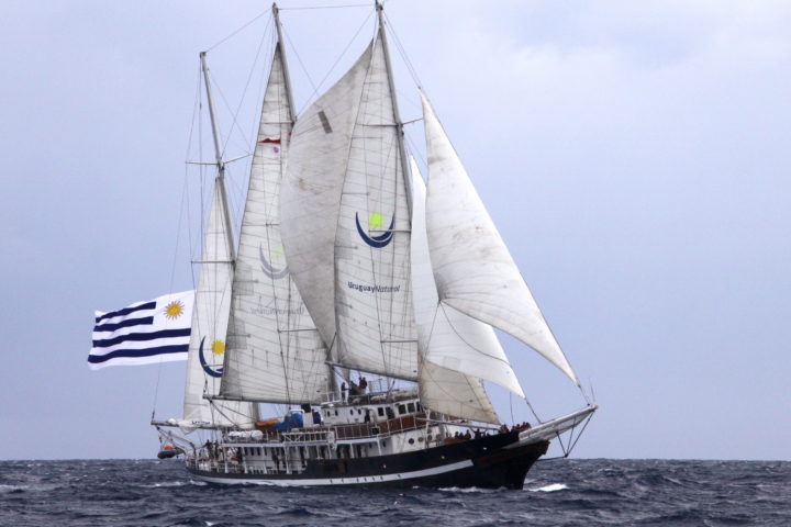 Captain Miranda credit Sail Training International