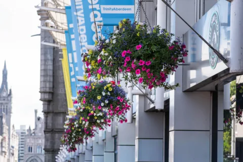 Flower baskets 6