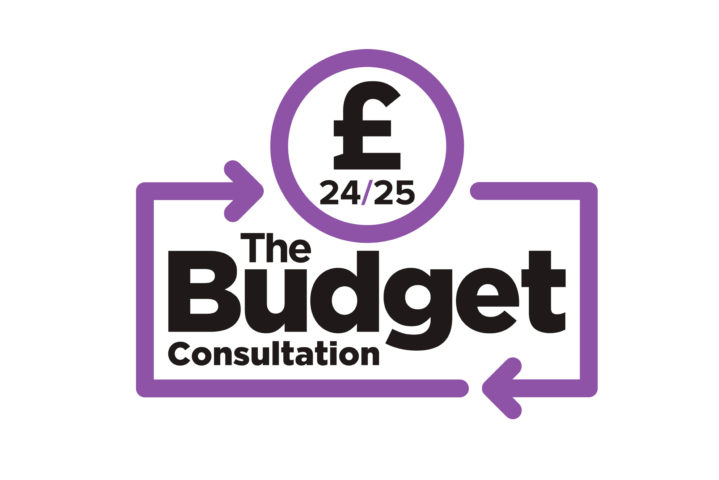 Budget logo V2