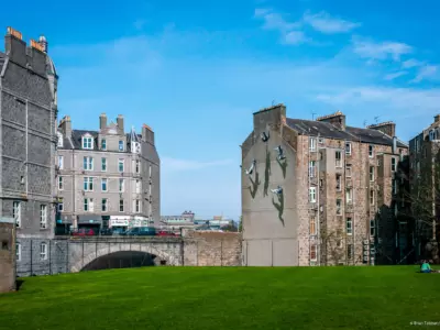 Strok DSC9034 briantallmanphotograpy 2019 Web Res