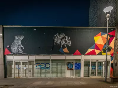 Hama DSC9548 briantallmanphotograpy 2019 Web Res
